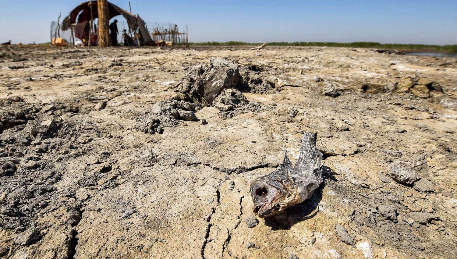 شاهد | العراق يعاني من الجفاف والسبب الأبرز: تركيا!!