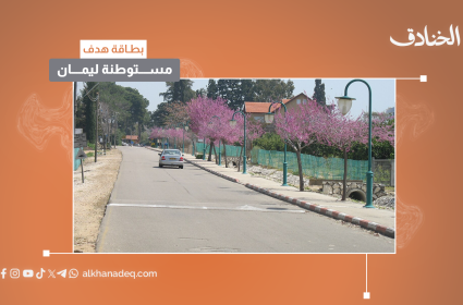 بطاقة هدف: مستوطنة ليمان