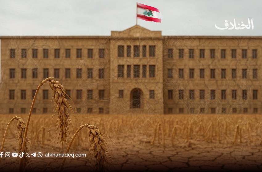 من لم يزرع أرضه كيف سيحميها؟